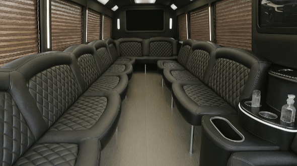 20 passenger party bus interior