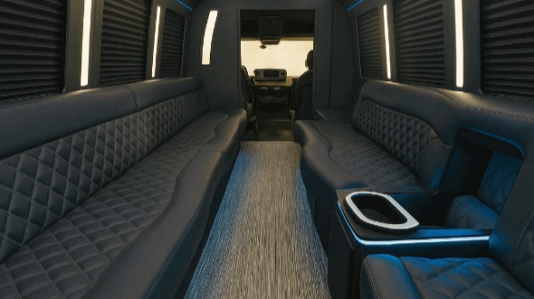 las cruces 20 passenger party bus